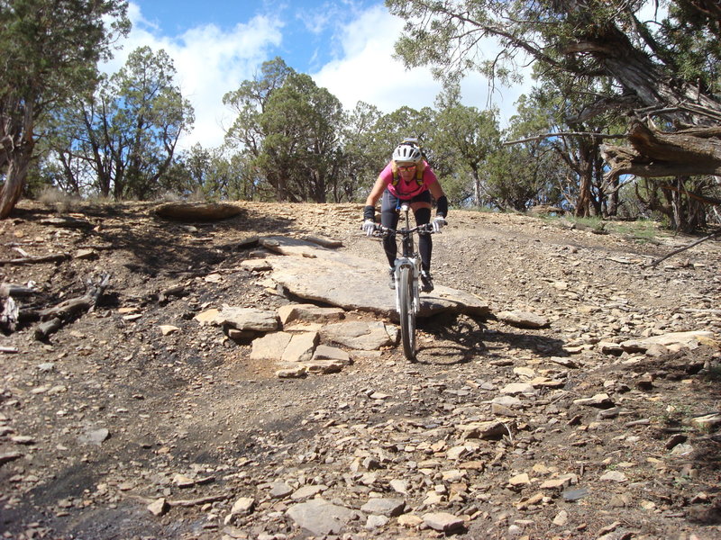 Superbe trail, une véritable MACHINE à FUN !