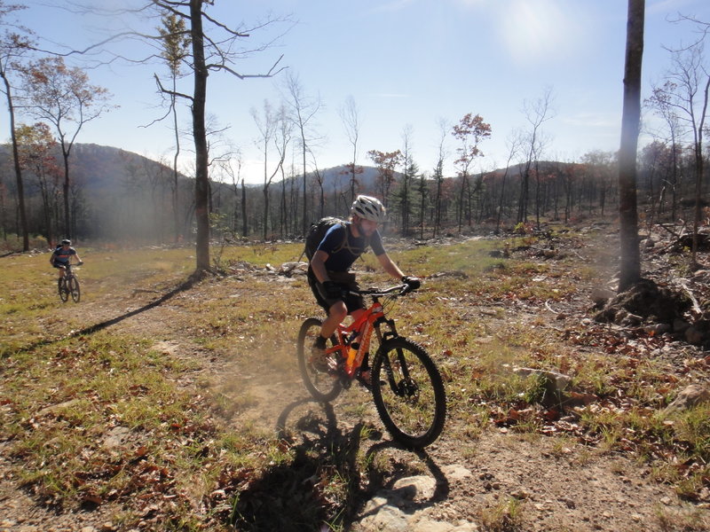 Passing recent timber sales while pedaling along Laurel Run Spur trail. Shortly after turning off of the pipeline.