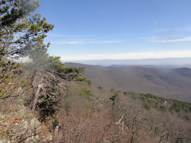 Looking northeast from North Mountain Trail