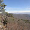 Looking northeast from North Mountain Trail