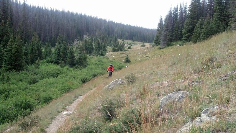 Rider exiting high meadow