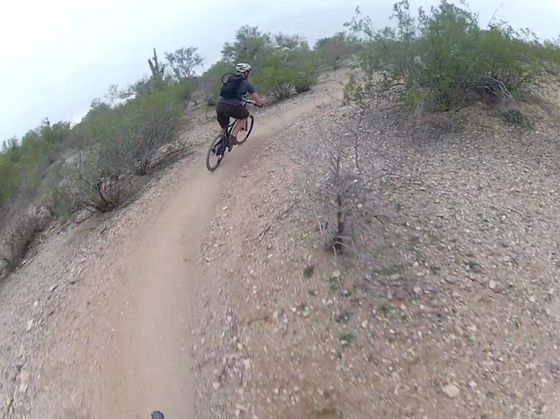 Taking the first corner of Lone Cactus Loop