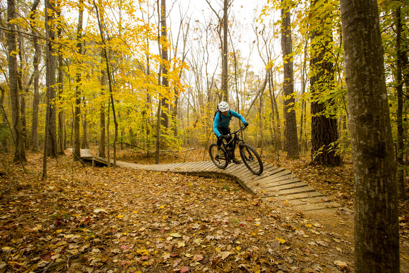 A few fun banked ladder bridges on Mosquito Bite trail.