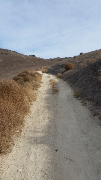 Climbing fire roads