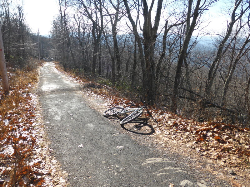 The up-up-uphill in late fall on Overlook Mtn