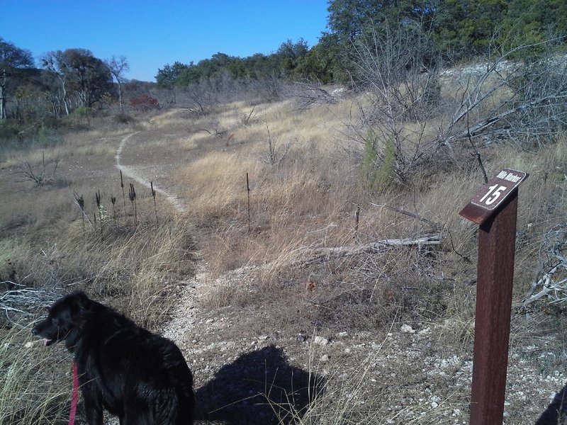 MM 15 along a rarely used section of the Goodwater Loop