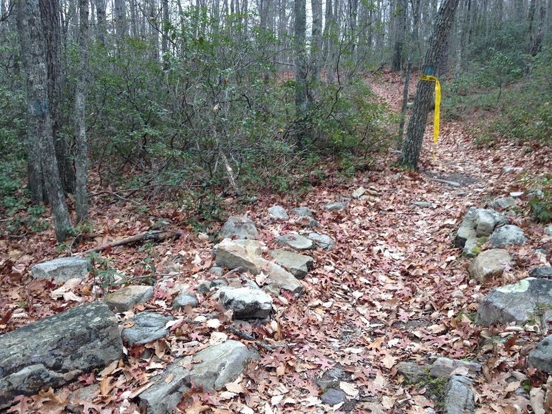 The view from the Stony Run Trail looking back to the Short Cut trail to the Magraw Horse Loop