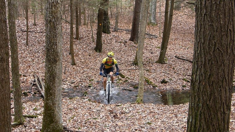 Splashing in the creek where Wintergreen meets Quilty.