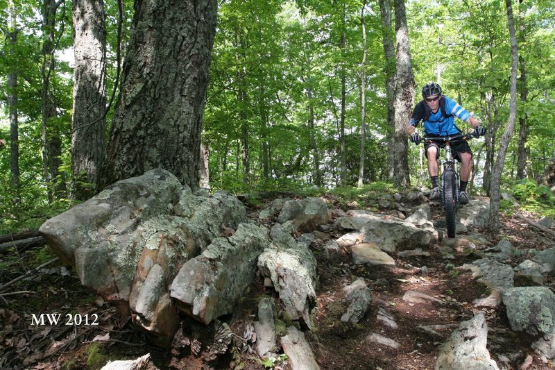 Rocks!  On Walden Avenue Trail