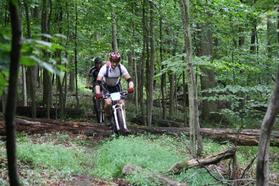 River Trail log piles