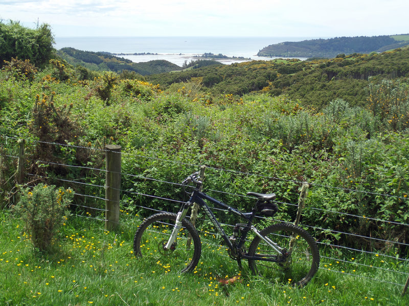 Blueskin Bay below.