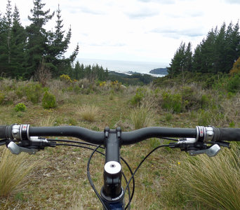 Despite sticking to a high ridgeline, much of the Mountain Track has fairly limited views.