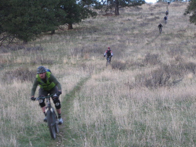 No turns on Buttercup Trail