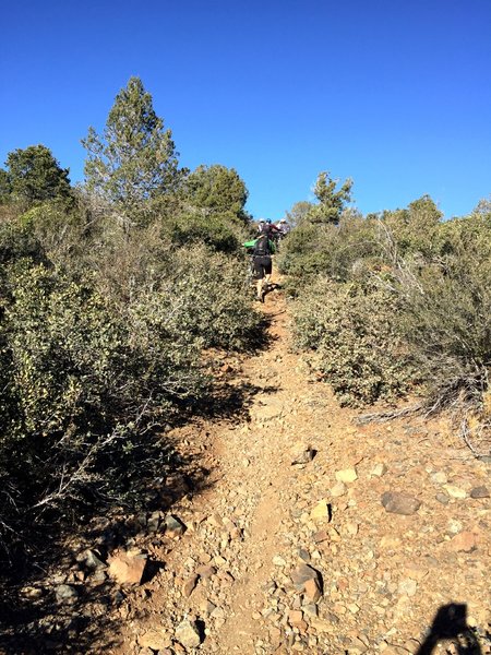 Challenging uphills on Ranch Trail #62