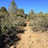 Challenging uphills on Ranch Trail #62