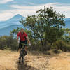 Mt McLoughlin from the Manzanita Trail