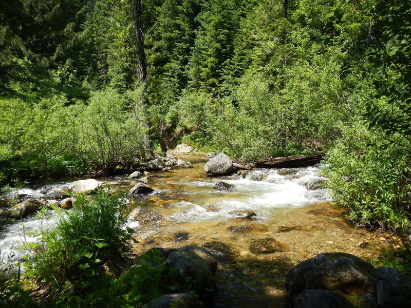 Early Season (July) Creek Crossing