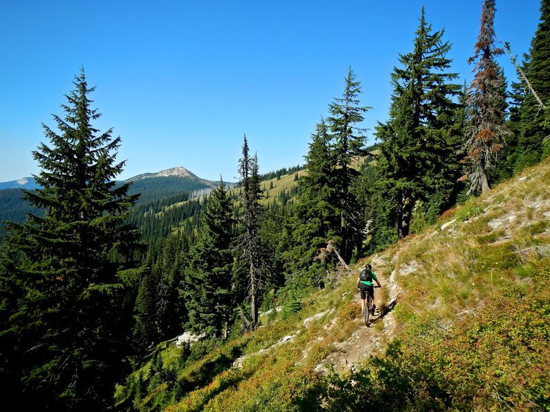 Delaney Creek Trail with Lookout Mountain in the far background.