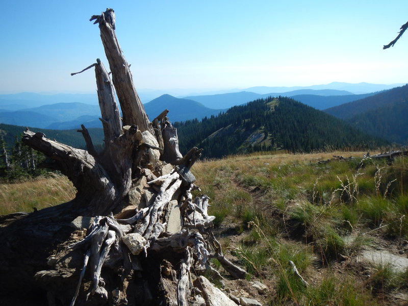 The trail off Widow Mountain