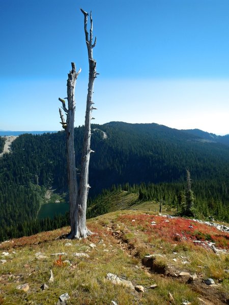 The trail off Lookout Mountain down towards Lost Lake.