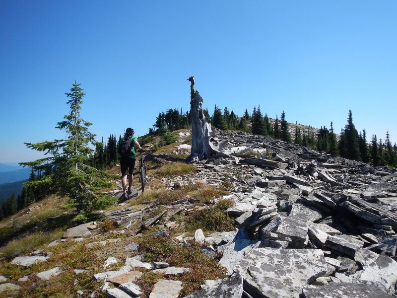 Lookout Mountain Trail