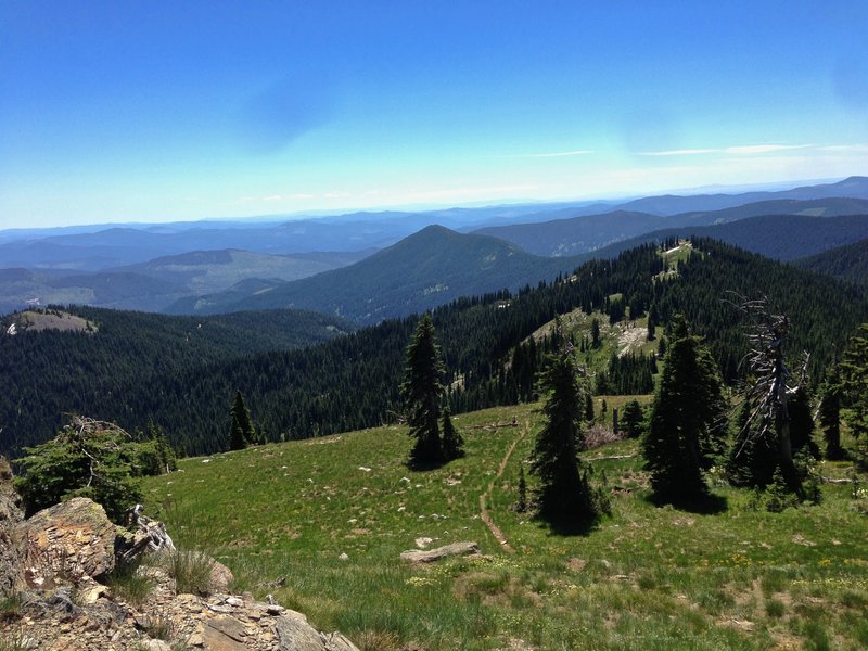 Trail off Widow Mountain