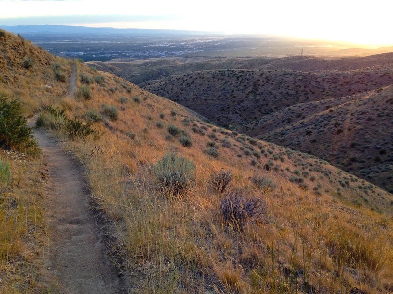 Smooth mellow section at the top of Three Bears Trail; looking West (downhill)