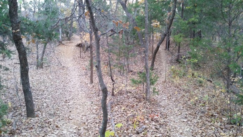 Most of the trail is tight turns, like this switchback.