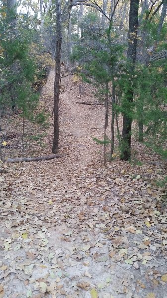 There are a few fast short downhill spots, but be careful of the tight turns that usually follow!