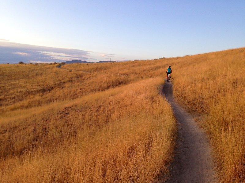 A nice singletrack section of Central Ridge Trail