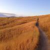 A nice singletrack section of Central Ridge Trail