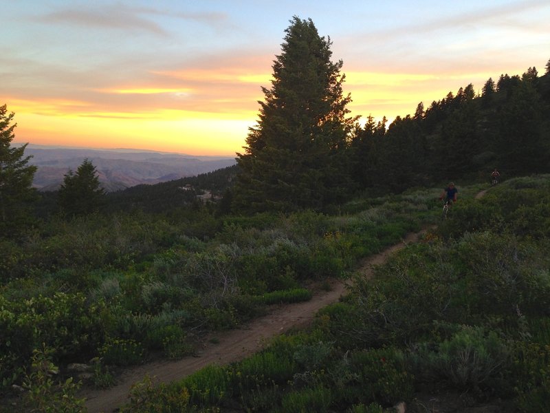 Climbing out from the Deer Point intersection to the first of many nice vistas.