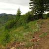 Prime singletrack on Around the Mountain Trail, looking West (counterclockwise).