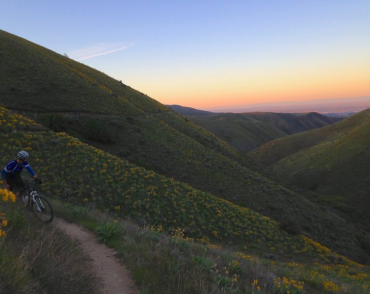 Watchman Trail is a great ride in the spring when wildflowers are blooming.