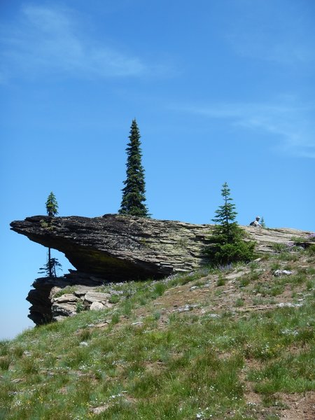 Rocky outcrops along the Marble Creek Trails #261 and #251