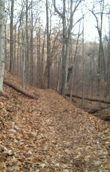 Flat section of white trail