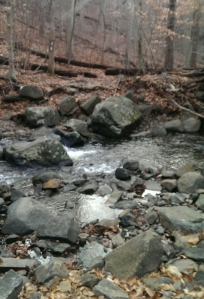 First stream crossing (hike-a-bike). Fun climb after the crossing - rocky, rooty, steep.