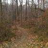 Blue trailhead.  Blue trail has some steep, rocky climbs and fun, rocky downhills.