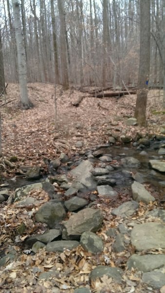 Third stream crossing on this ride.