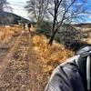 The railroad grade leading to Sundog Ranch Trail