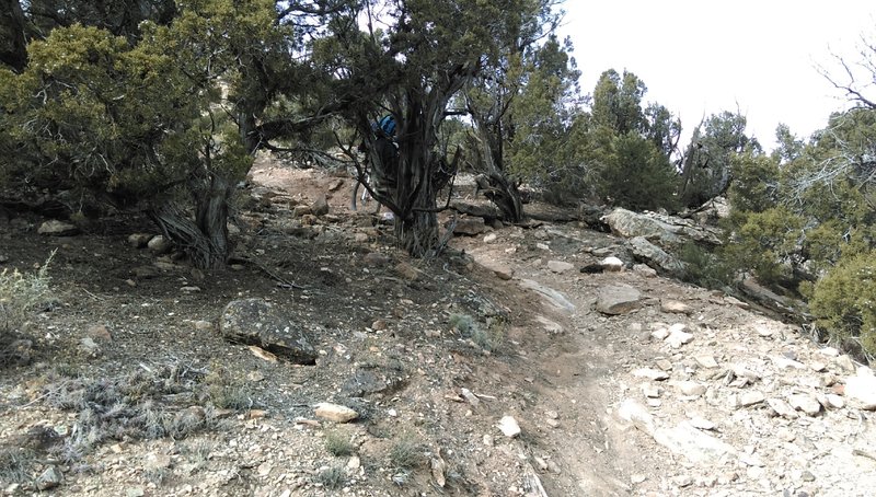Climbing the hike-a-bike section of Cushman Creek Trail