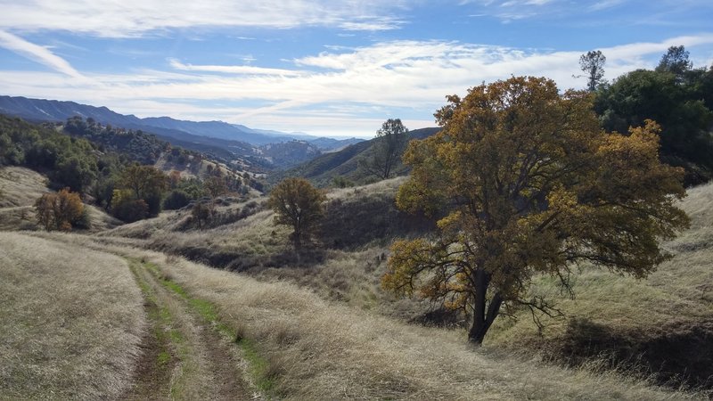 Looking back down Long Canyon toward Berryessa.