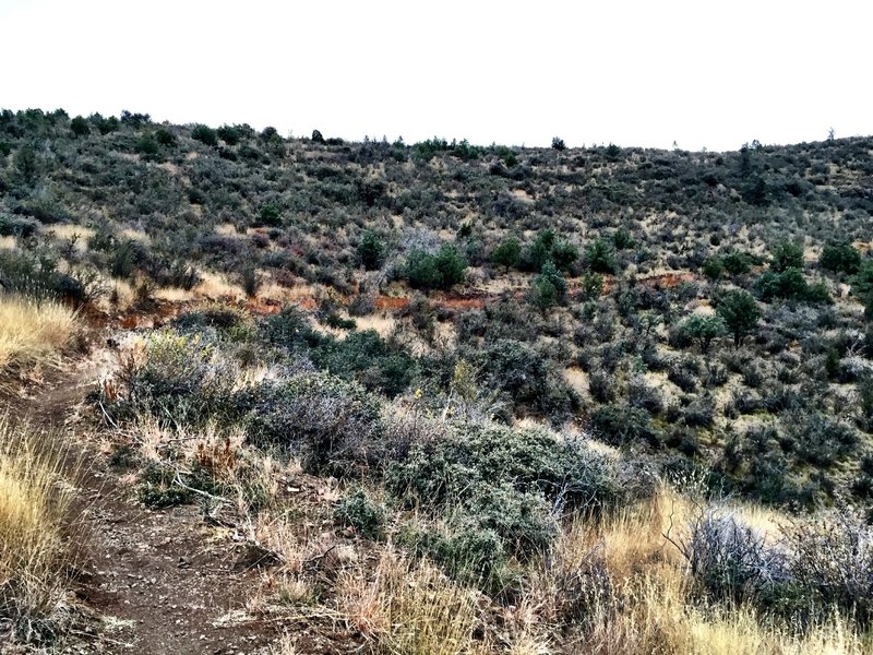 Sundog Ranch Trail