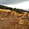 Sundog Ranch access trail from the Peavine Trail