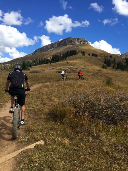 Up, up, up the Colorado Trail