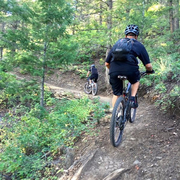 Dang...another switchback on Skyline Trail