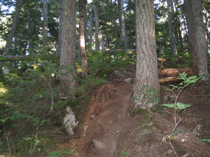 One of the many challenging chutes or rolls on Kashmir Trail