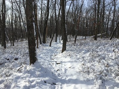 Winter on Bald Knob