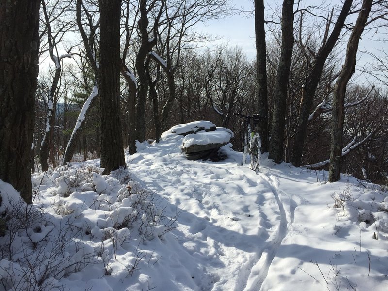 Winter on Bald Knob Trail