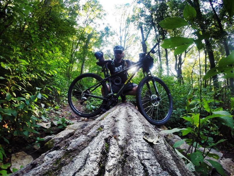 Most wind fall is left in place and slightly altered to allow for a natural challenge on this trail system.